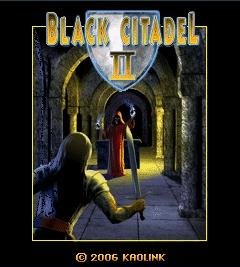 game pic for Black Citadel 2